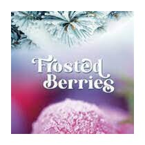 Boles d'olor Ambientador Mini Resina Frosted Berries